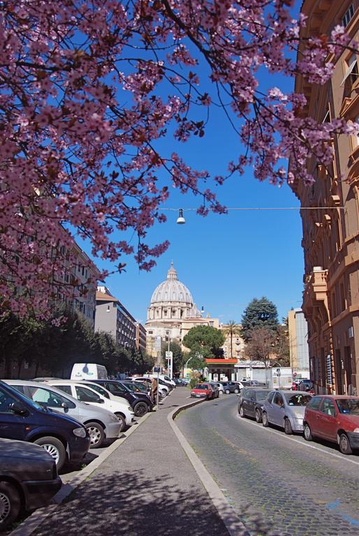 Magenta Classic San Pietro 34b * Roma