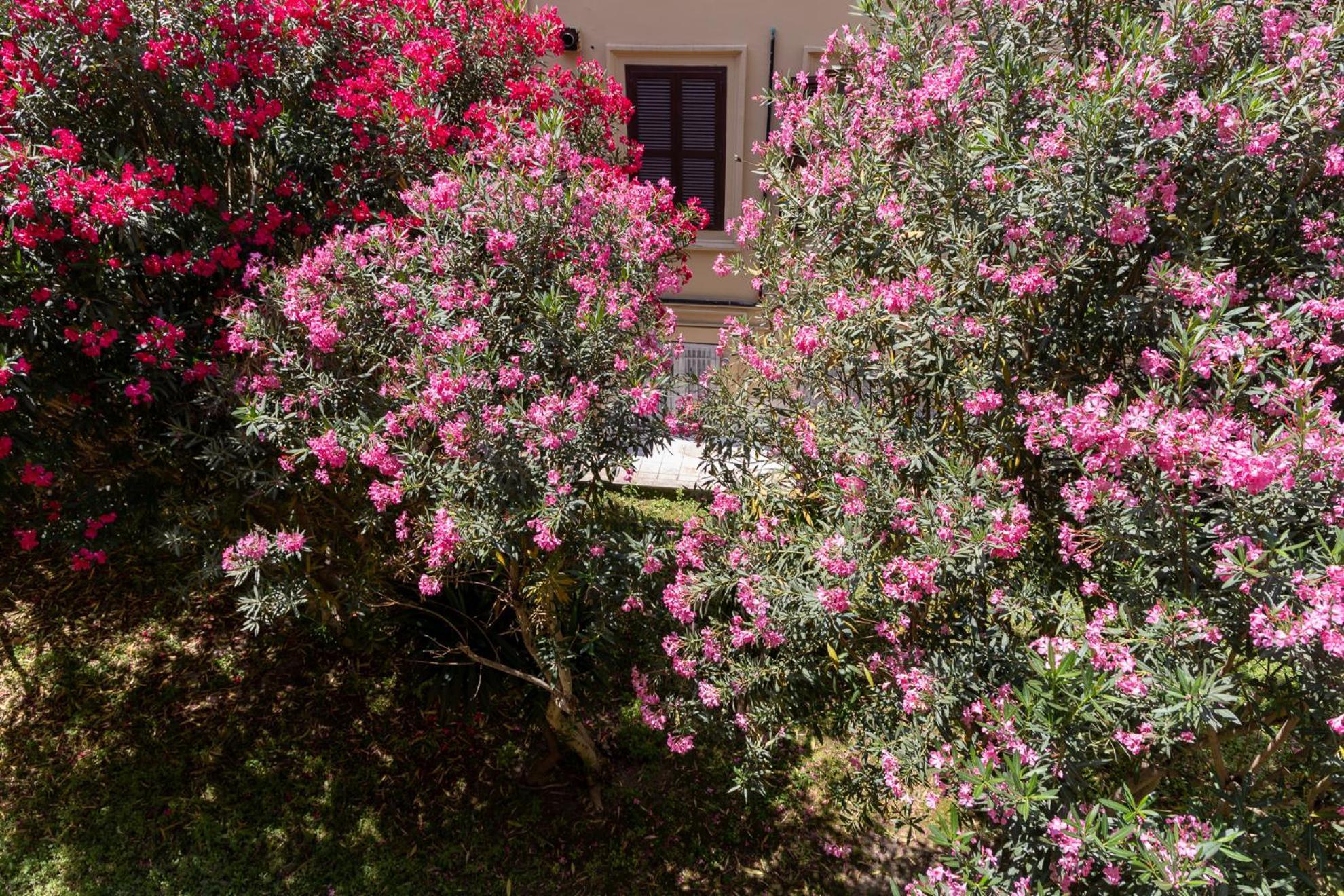 Guest house San Pietro